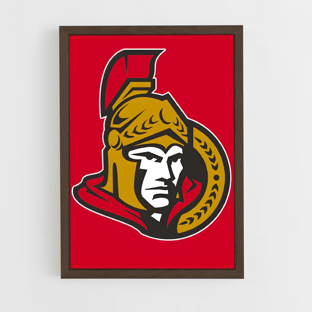 Poster Maryland Spirit – affiche Hockey sur glace (vue 5)